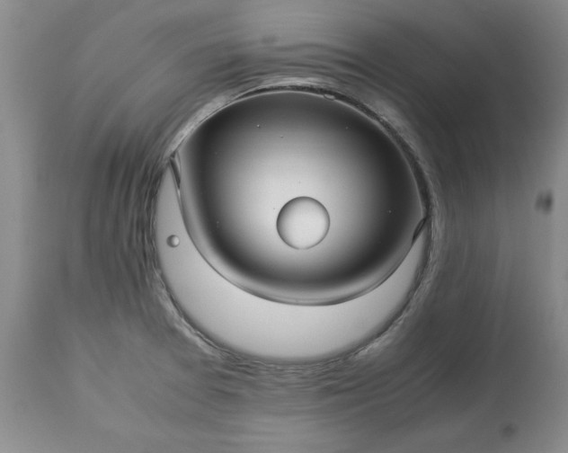 X0000113251377200909241601