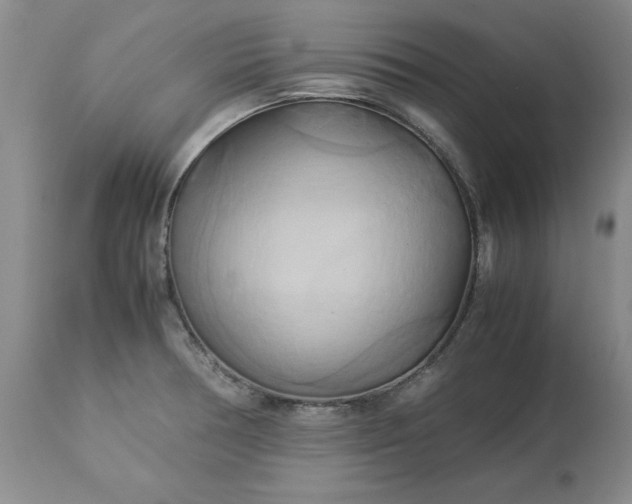 X0000113251378200909241600