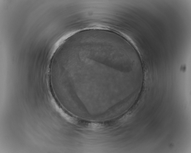 X0000113251379200909241600