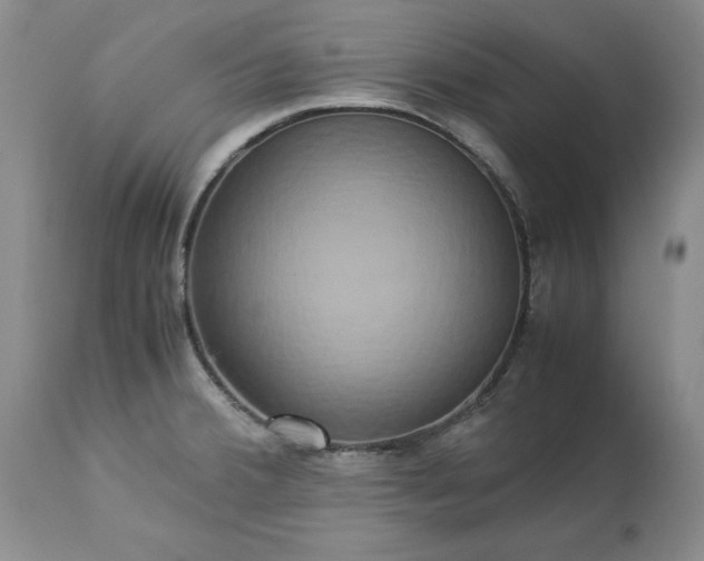 X0000113251380200909241600