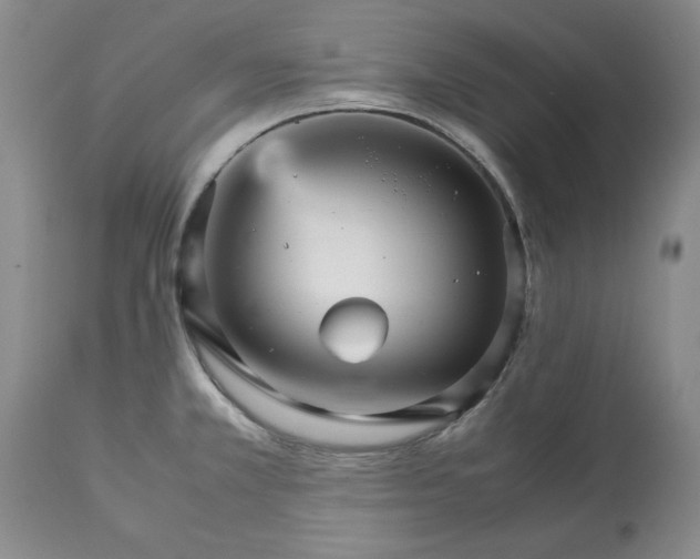 X0000113251381200909241600