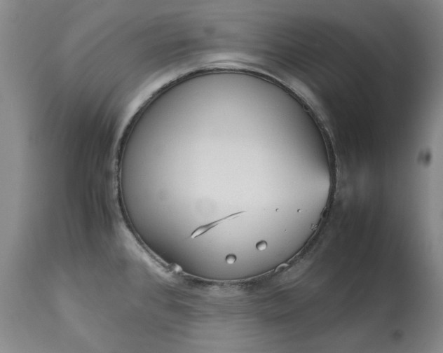 X0000113251384200909241600