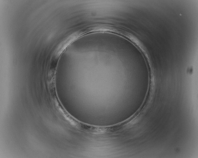 X0000113251385200909241600