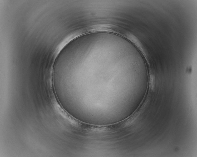 X0000113251386200909241600