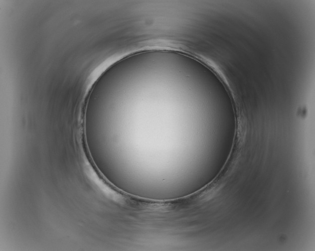 X0000113251387200909241600