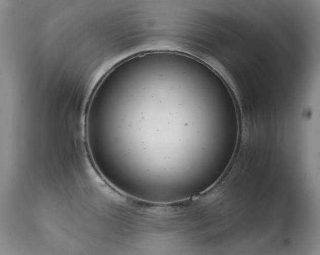 X0000113251388200909241600