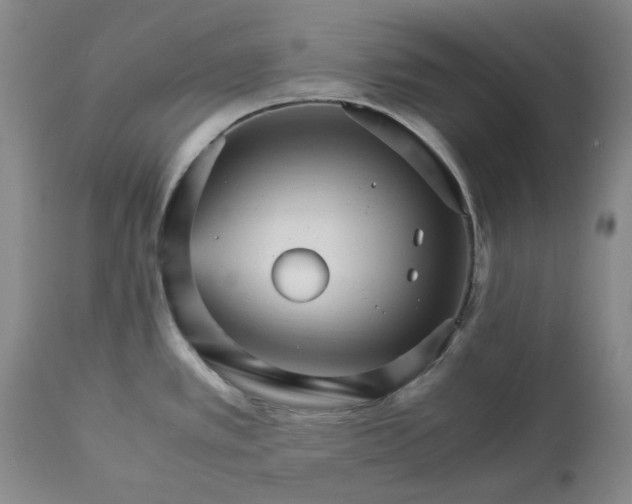 X0000113251389200909241600