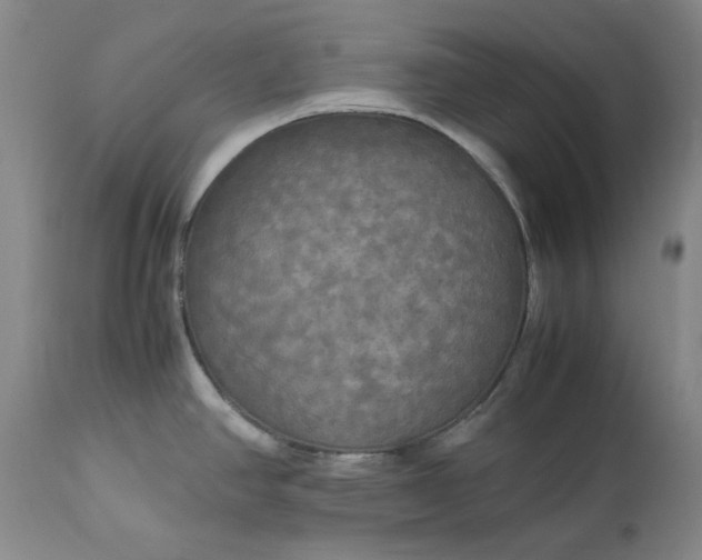 X0000113251390200909241600