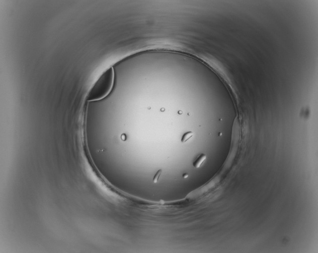 X0000113251391200909241600