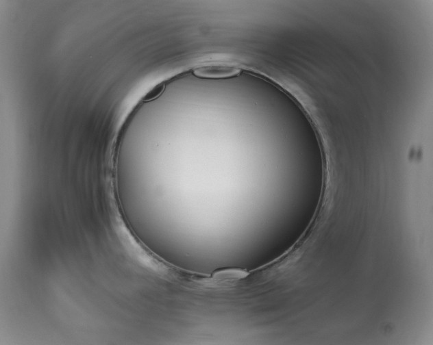 X0000113251392200909241600