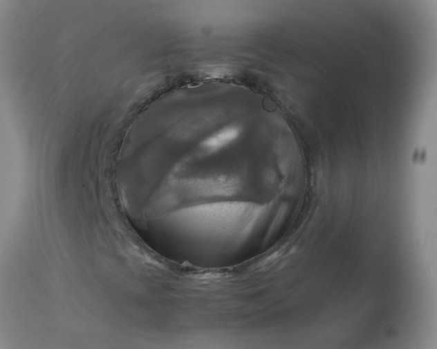 X0000113251393200909241559