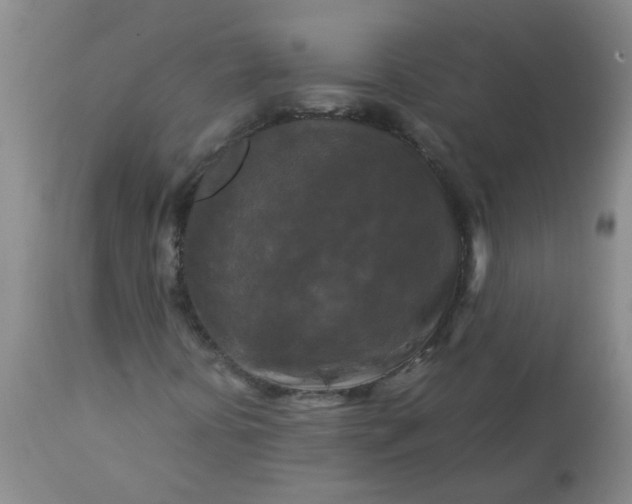 X0000113251394200909241559