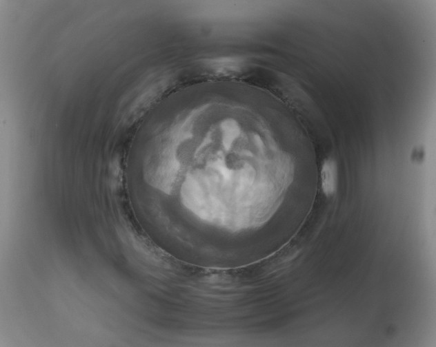 X0000113251395200909241559