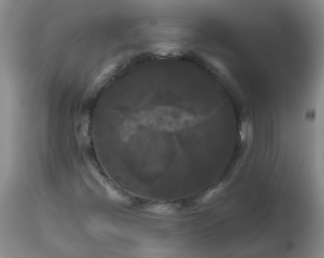 X0000113251396200909241559