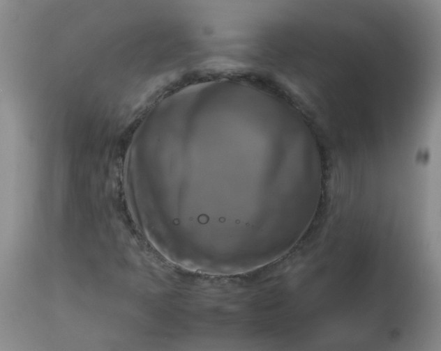 X0000113251397200909241559