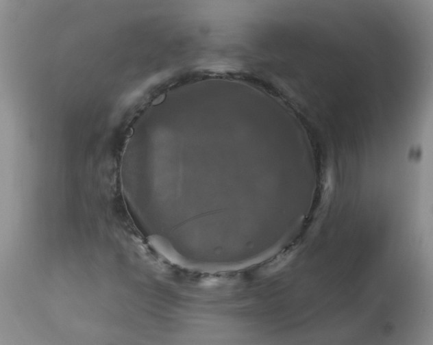 X0000113251398200909241559