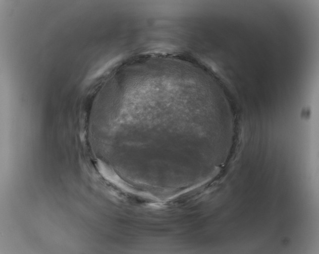 X0000113251399200909241559