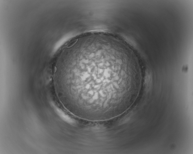 X0000113251400200909241559