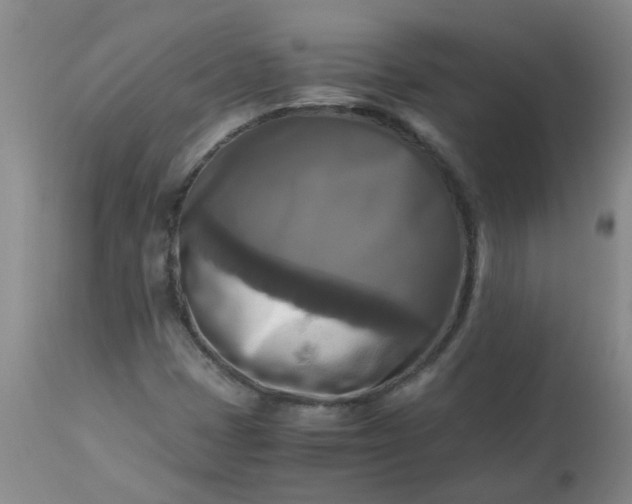 X0000113251401200909241559