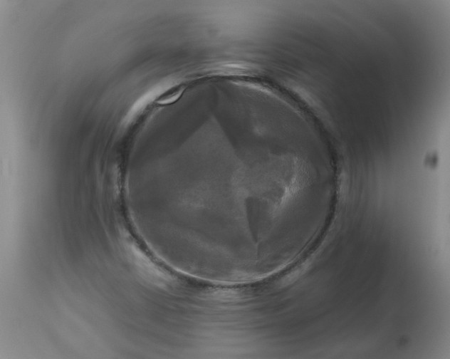 X0000113251402200909241559