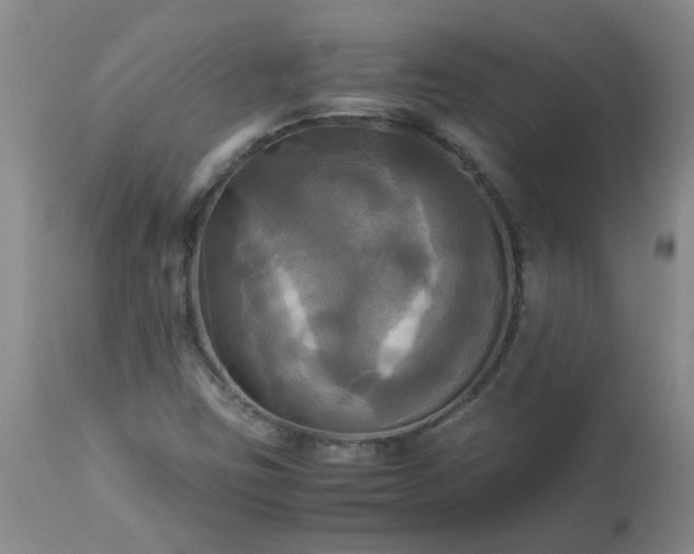 X0000113251403200909241559