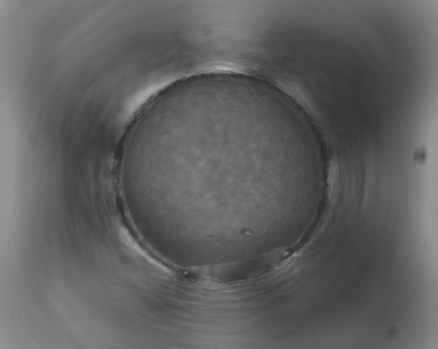 X0000113251404200909241559