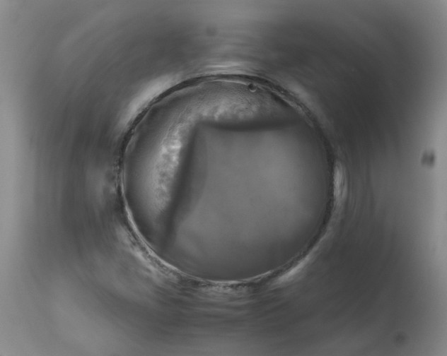 X0000113251405200909241559