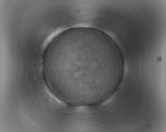 X0000113251406200909241559