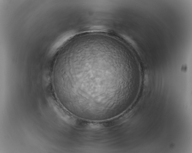 X0000113251407200909241559