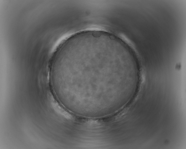 X0000113251408200909241559