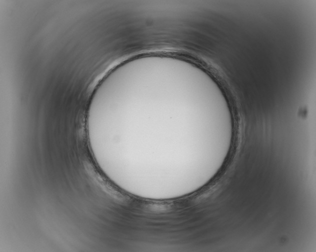 X0000113251409200909241559