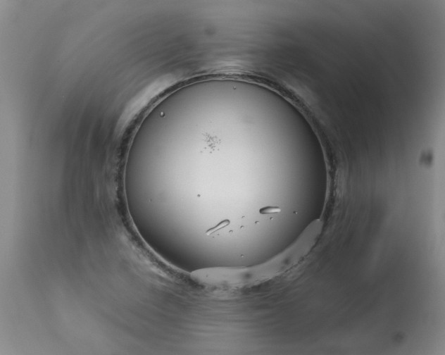 X0000113251410200909241559