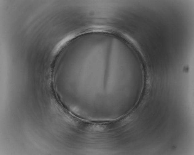 X0000113251411200909241559