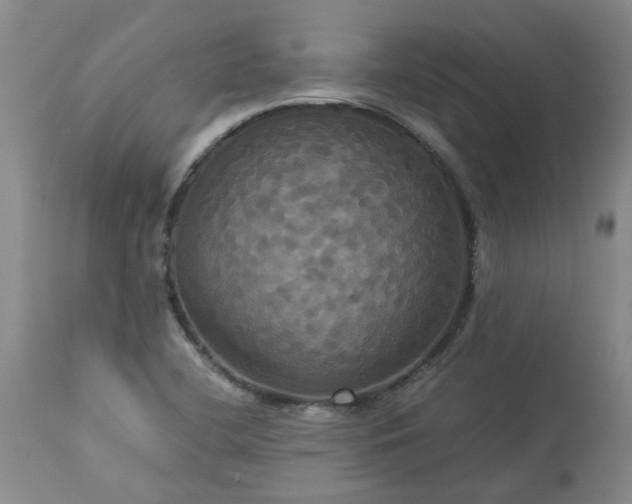 X0000113251412200909241559