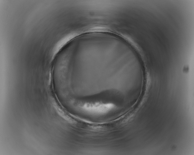 X0000113251413200909241559