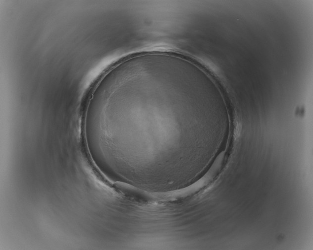 X0000113251414200909241559