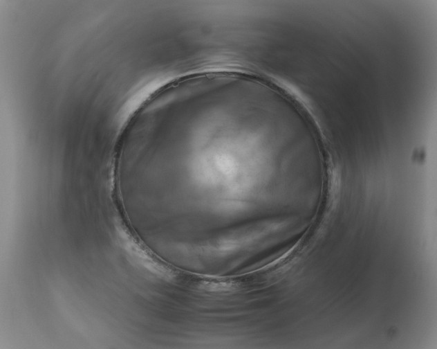 X0000113251415200909241600