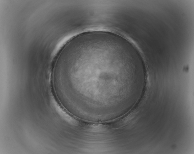 X0000113251416200909241600