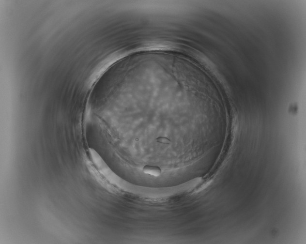 X0000113251417200909241600