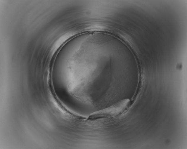 X0000113251418200909241600