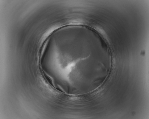 X0000113251419200909241600