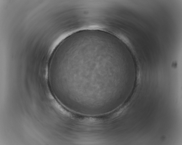 X0000113251420200909241600