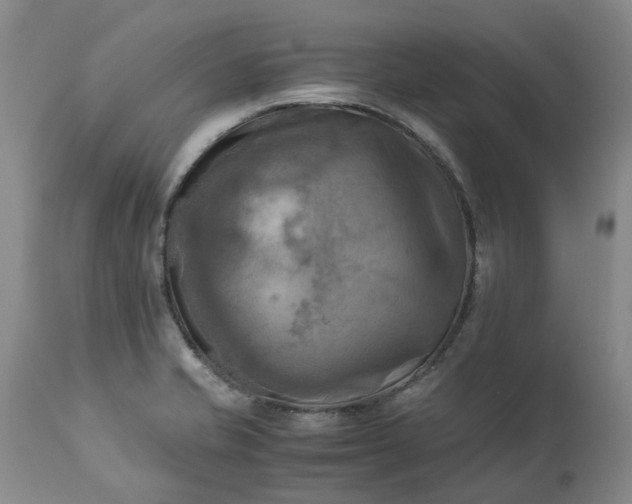 X0000113251421200909241600