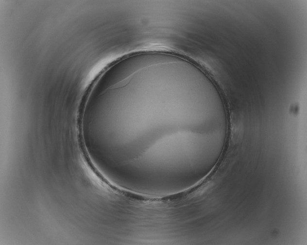 X0000113251422200909241600