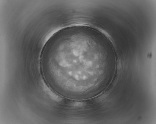 X0000113251423200909241600