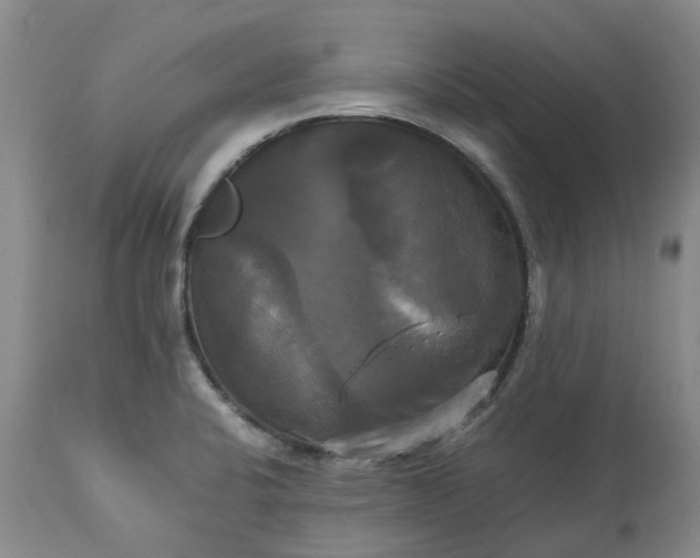 X0000113251424200909241600