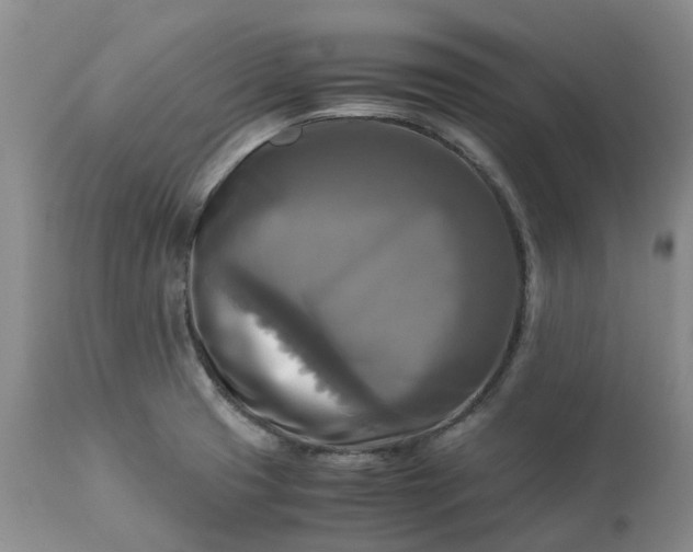 X0000113251425200909241600