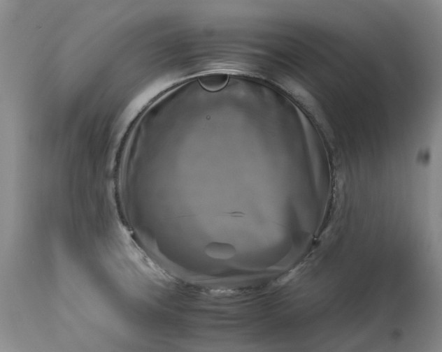 X0000113251427200909241600