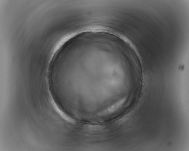 X0000113251429200909241600