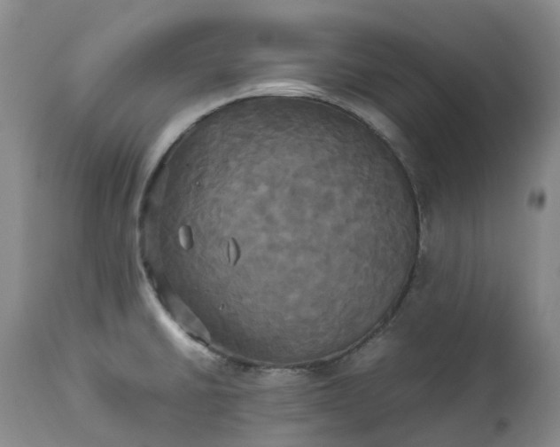 X0000113251430200909241600